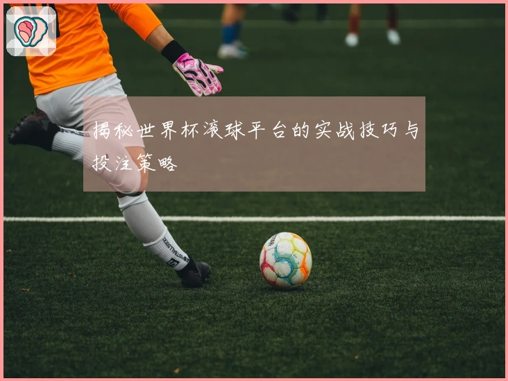 揭秘世界杯滚球平台的实战技巧与投注策略